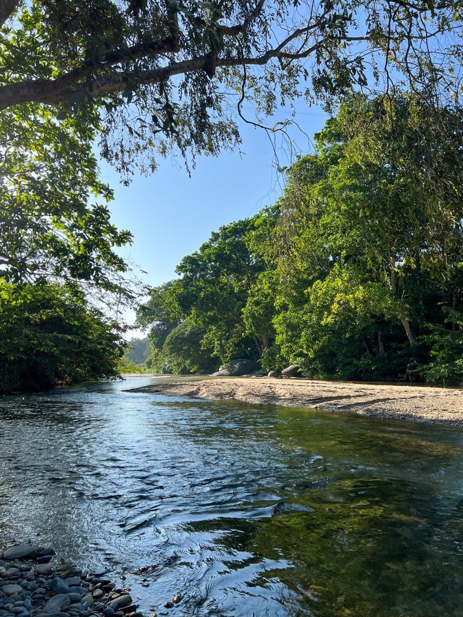 Tayrona Cachaco River Ecohostal Ель-Зайно Екстер'єр фото
