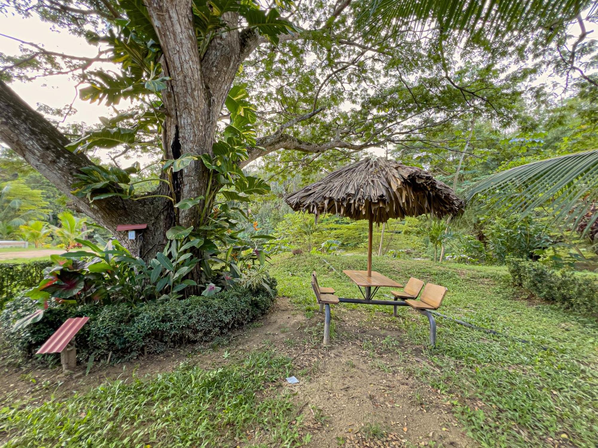 Tayrona Cachaco River Ecohostal Ель-Зайно Екстер'єр фото